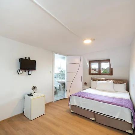 House Sultanahmet 住宿加早餐酒店 3*