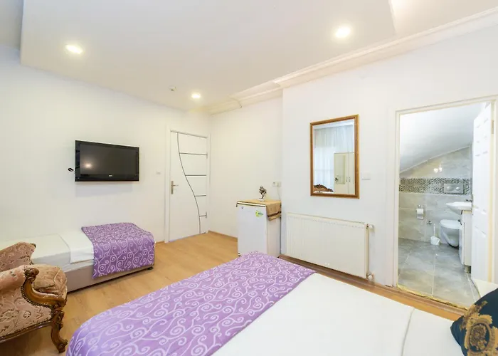 House Sultanahmet Bed and breakfast